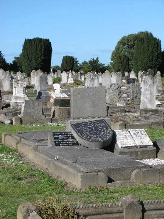 a cemetery with graves lined up and trees in the background