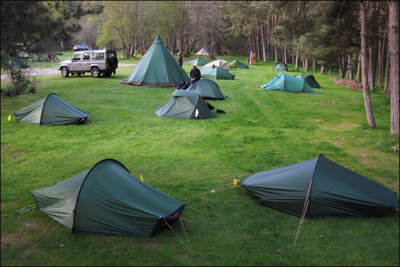 there are tentes in the grass near trees