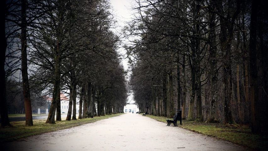 there is a man walking with a dog on the street