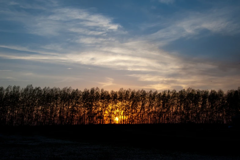 the sun shines through the clouds behind trees