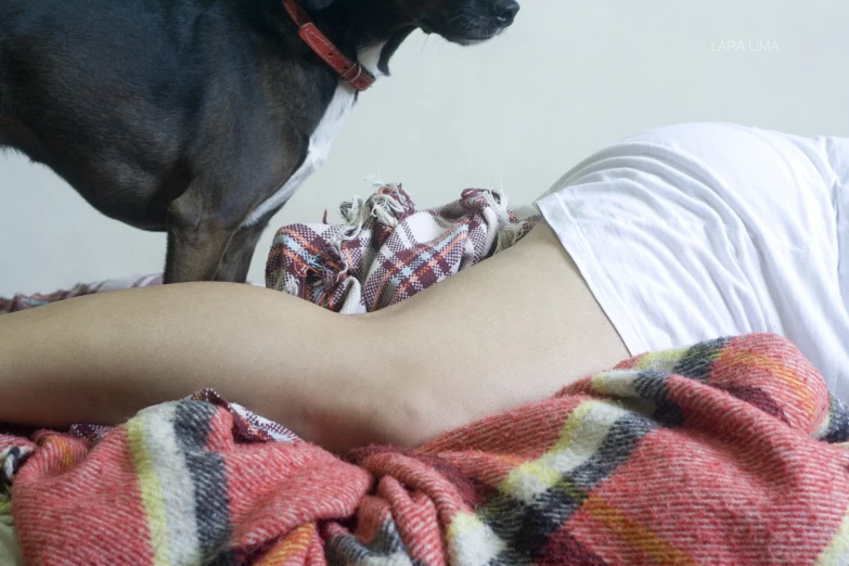 a black dog is sitting on a bed next to the woman's stomach