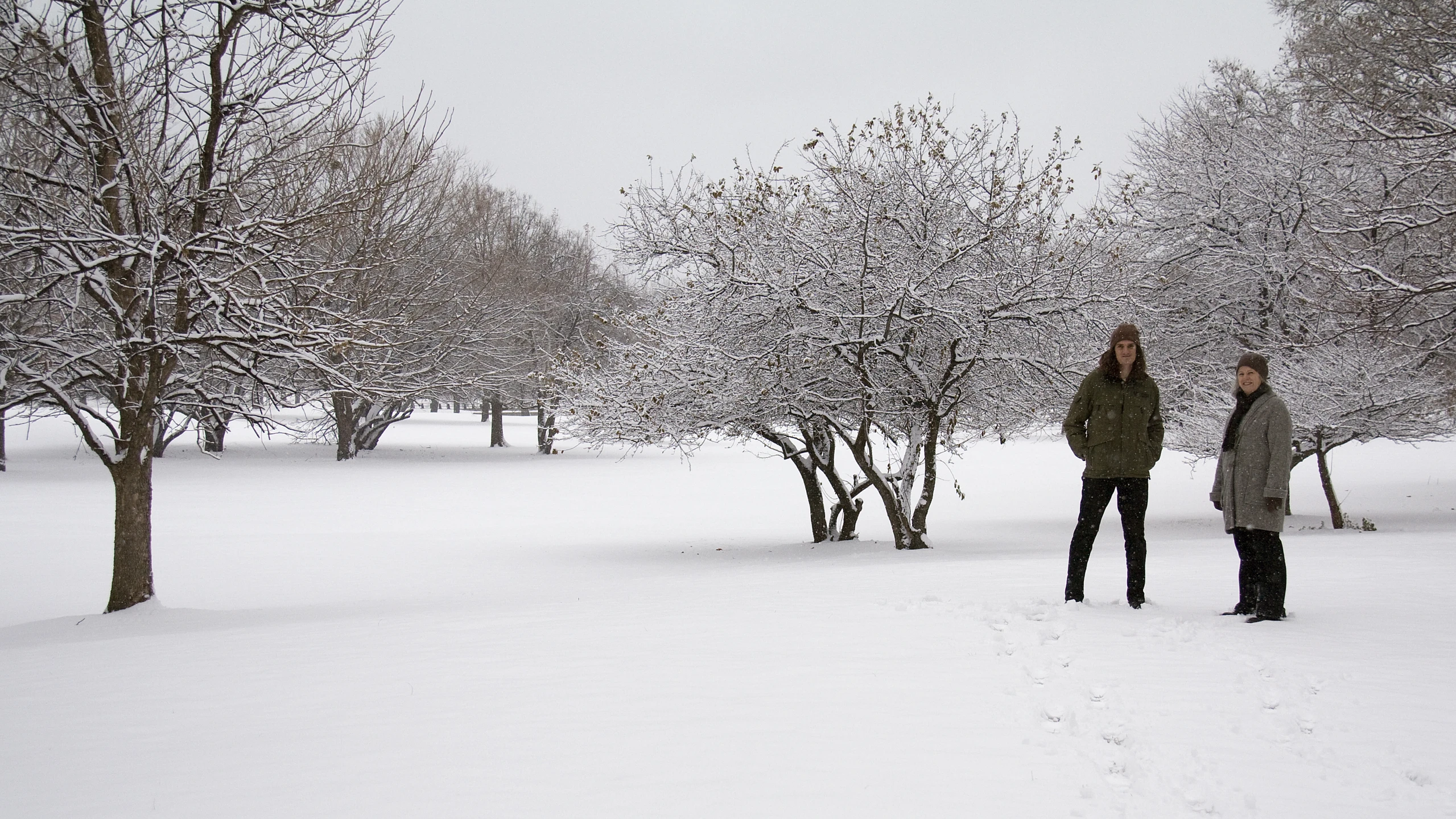 two people stand in the snow next to trees