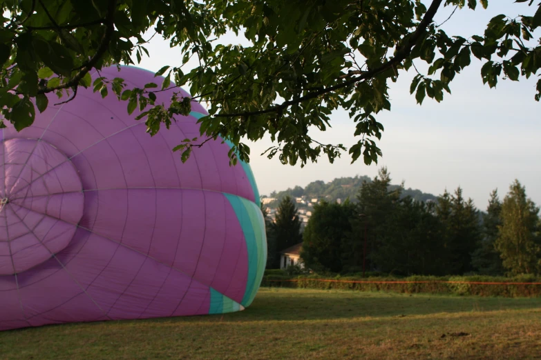 the large pink object is floating through the grass