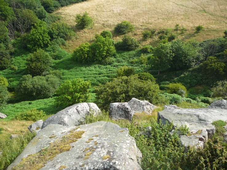 a bench sits on a rock overlooking a grassy valley