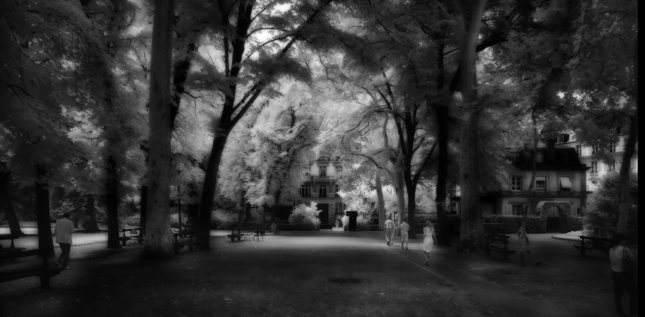 a building is seen through the trees in black and white