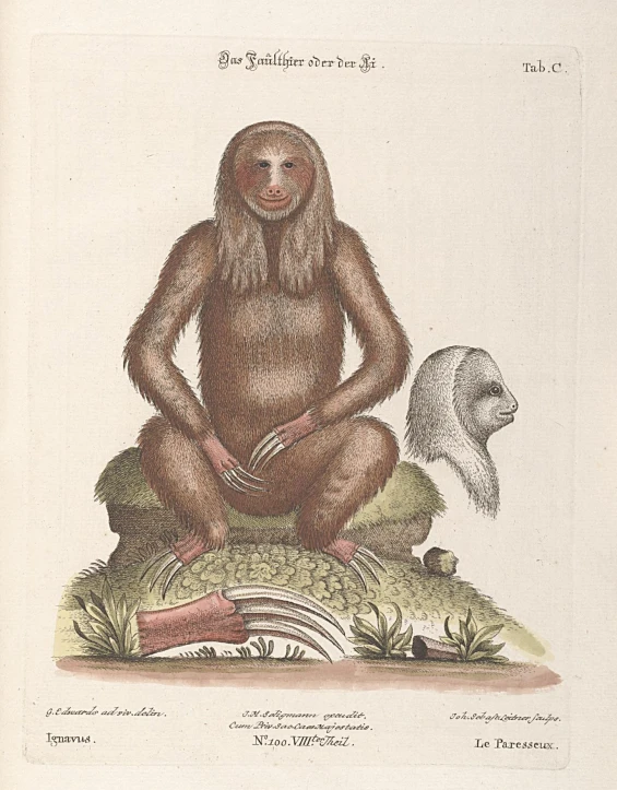 a cartoon of a monkey sitting on a mushroom, and an owl is standing by