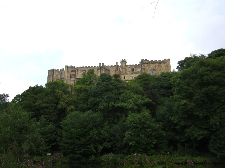 a castle surrounded by trees and greenery sits above a river