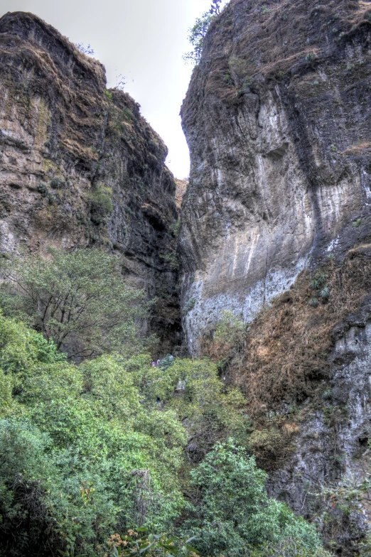 an airplane flying high above the trees below mountains