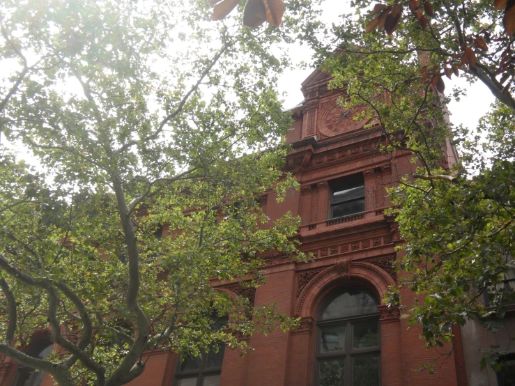 large old brick building with the tree top growing near by
