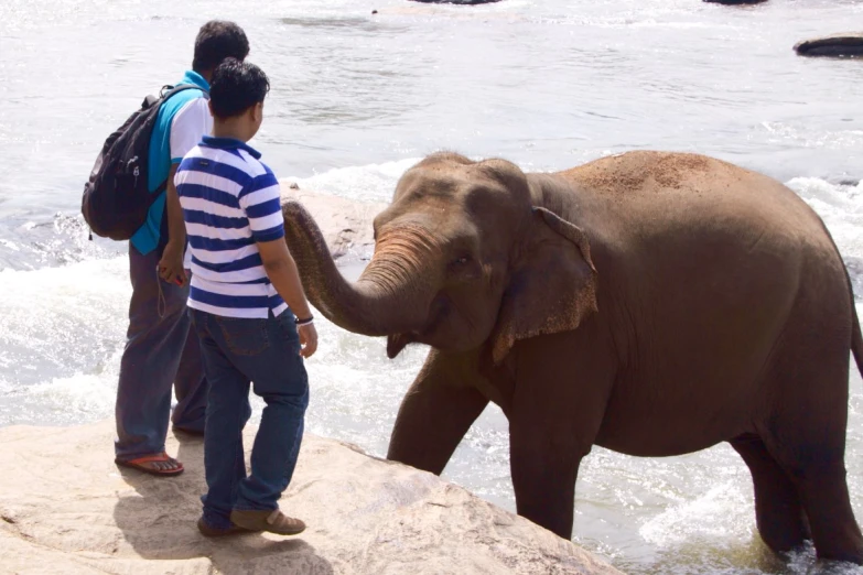 an elephant in the water near a man