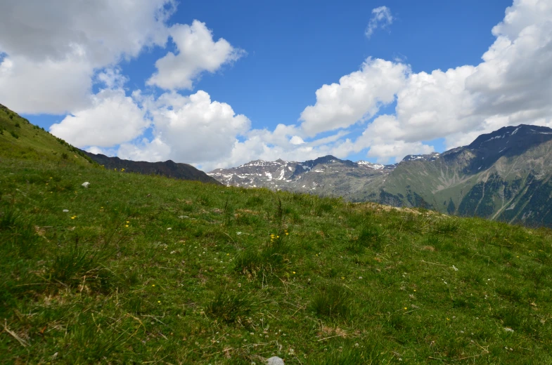 a grassy hill covered with lots of green hills