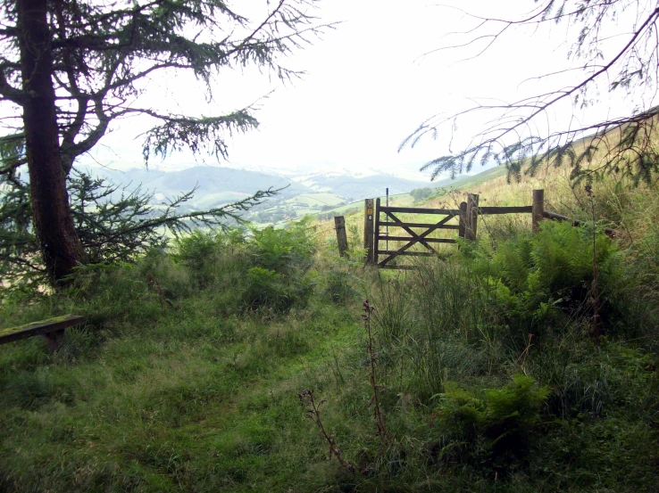 there is a wooden gate in the grass next to trees