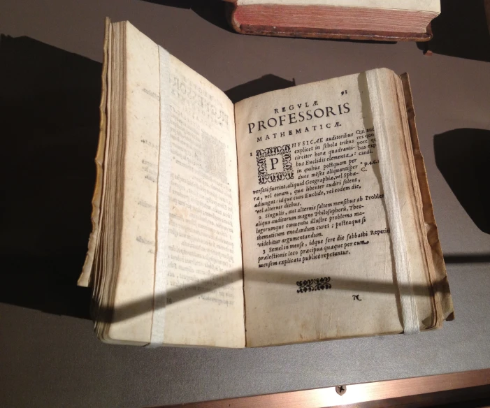 two opened book on top of a wooden shelf