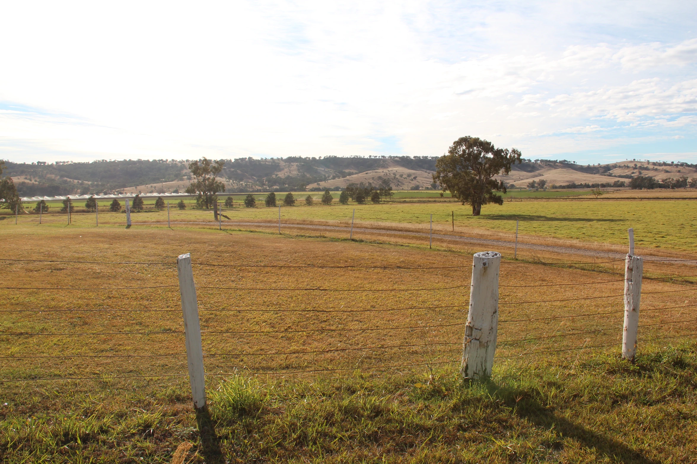 a lone rural road in an open field