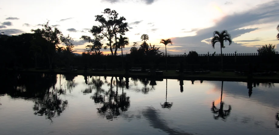 a picture taken at dusk of trees and water