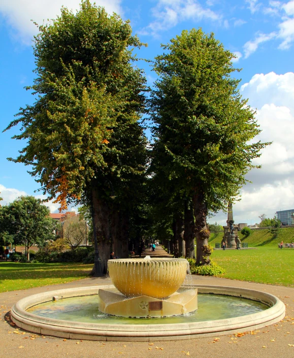 the water features the two sides in front of the tree