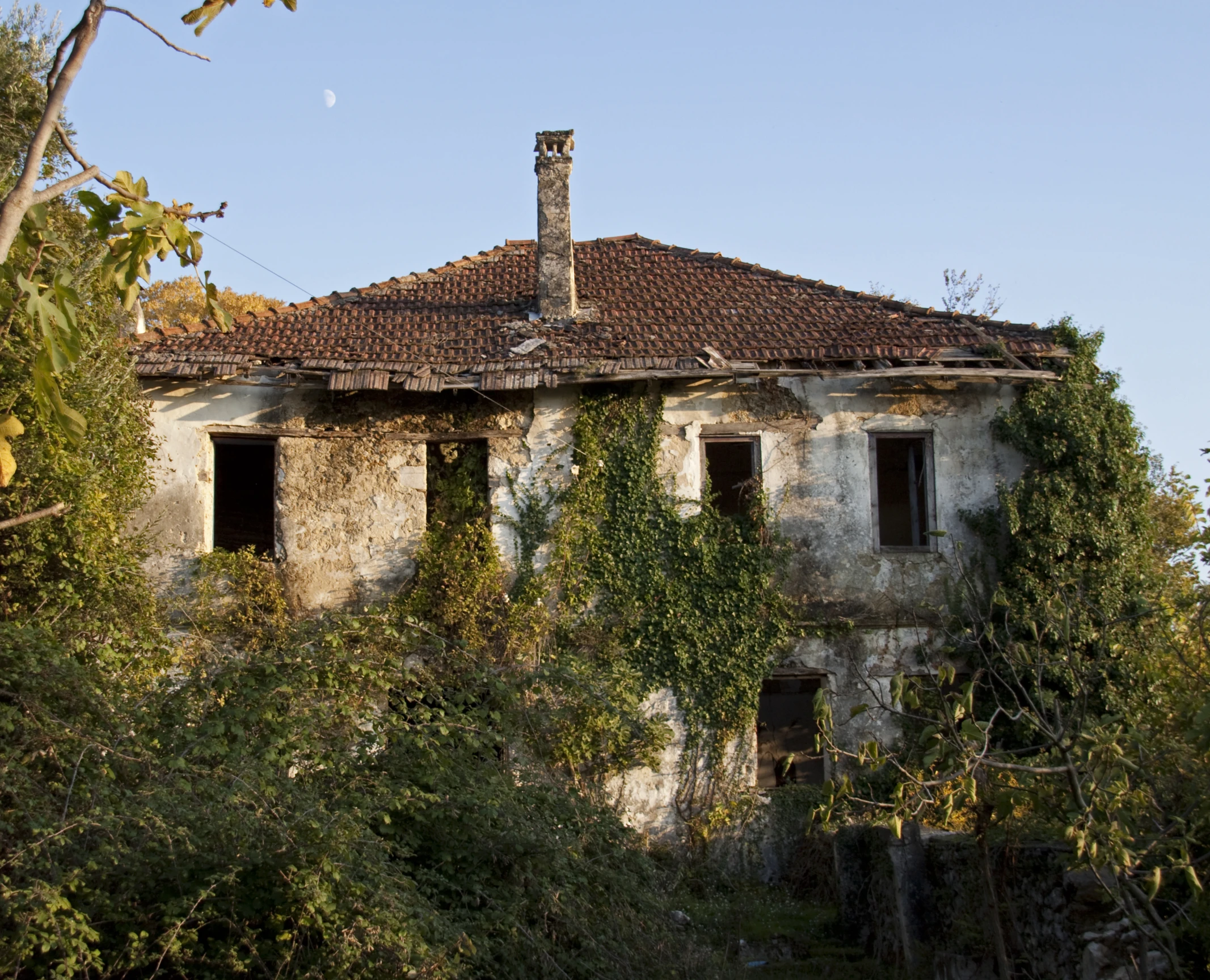 an old, run down building with vines growing up it