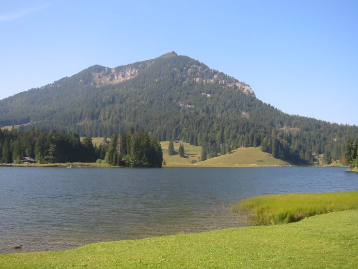 the water is almost calm and has green grass on it