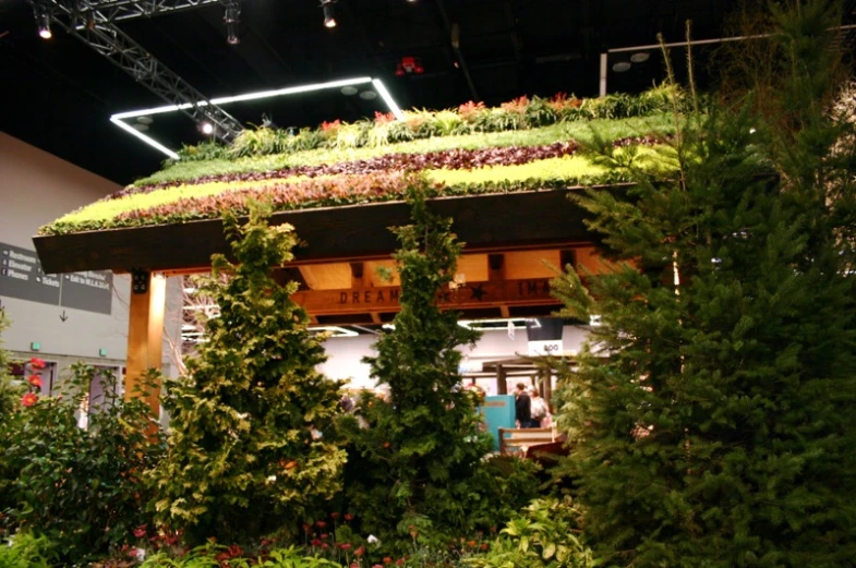 a man is standing on a stage covered with plants