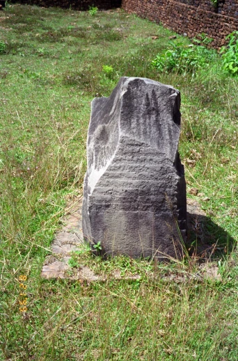 a large gray rock standing in grass and weeds