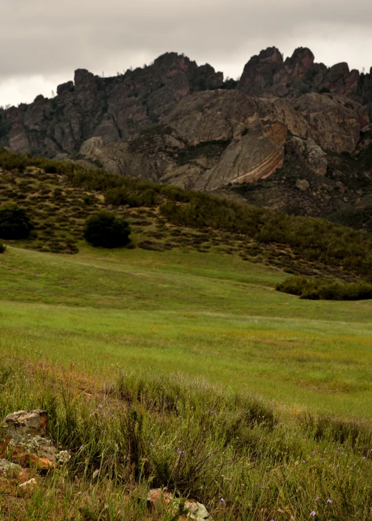 a horse grazing on lush green grass in a mountain valley