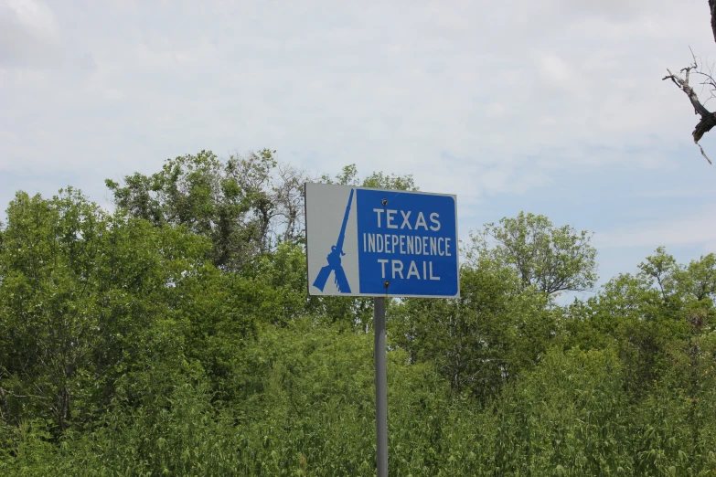 a street sign is shown near a grove of trees