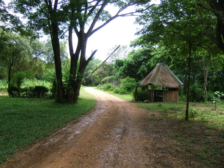 a dirt road passing by a grass hut