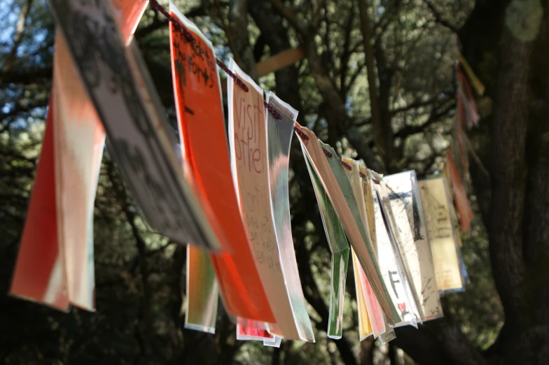 small multicolored papers hanging from a tree