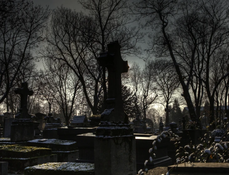 snow on trees surrounding a cemetery with a clock tower