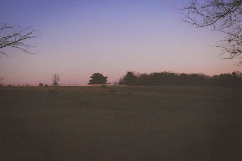 a field with no grass and trees in the distance