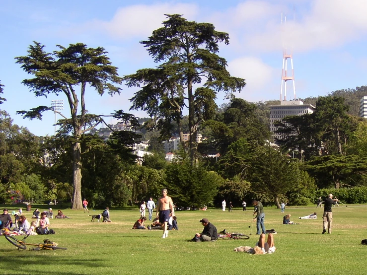 people enjoying a sunny day in a park with no one