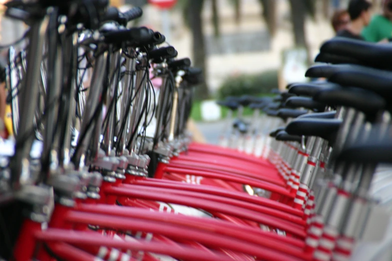 red and black bikes lined up in rows