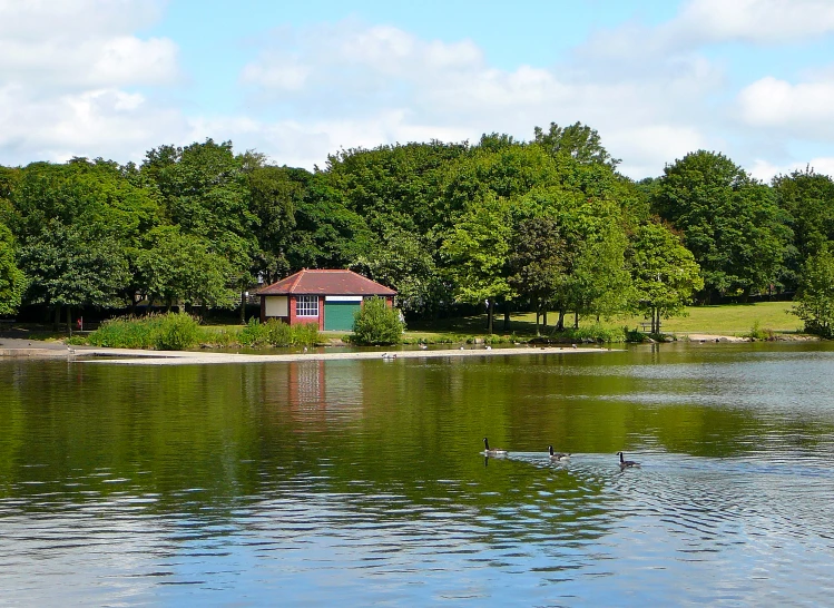 the house is by the trees near the lake