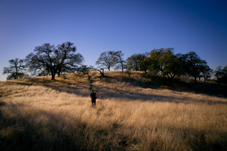 a lone person walking along an open field