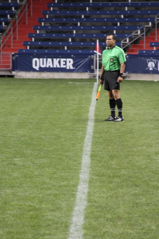 a referee standing on a grass field with a flag