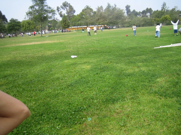several people are playing on a large green field