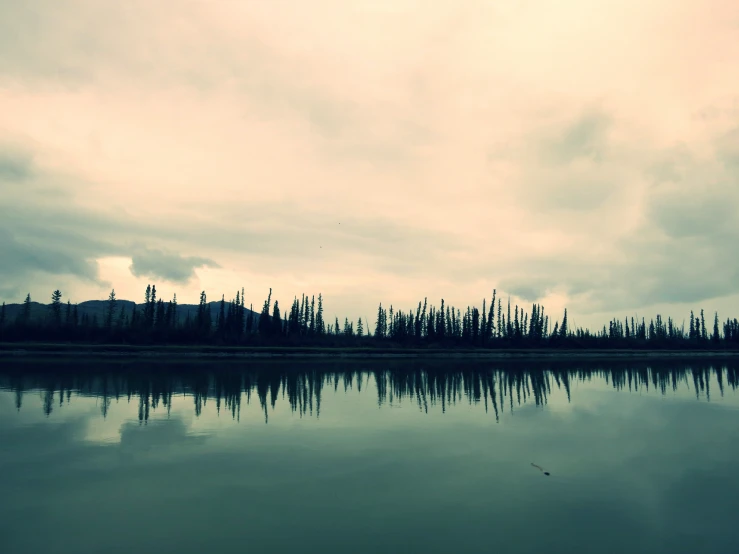 a body of water sitting in the middle of trees