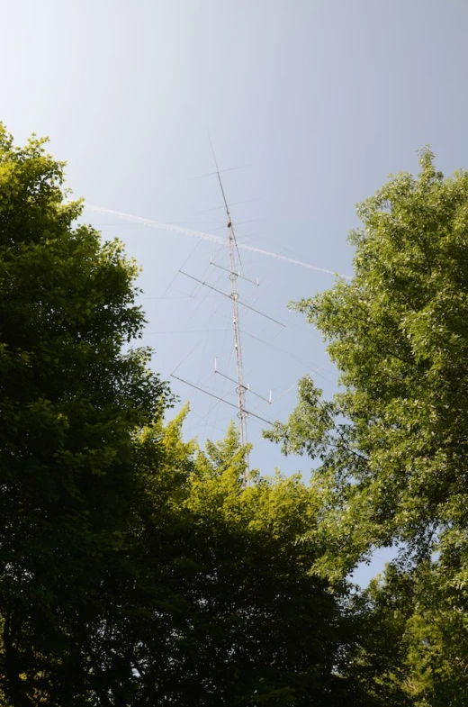 an aerial antenna sits on top of some trees
