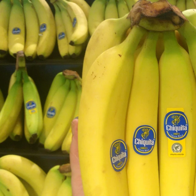 bananas have stickers on them in a market