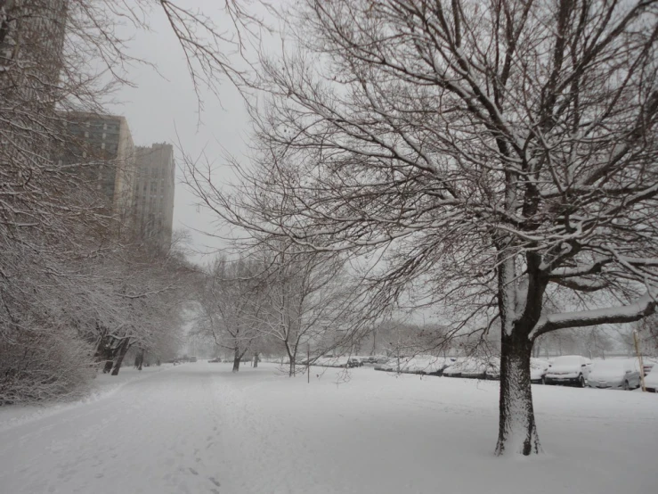 a long walk with some snow on the ground