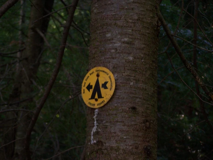 a tree with a yellow and black round sign on it