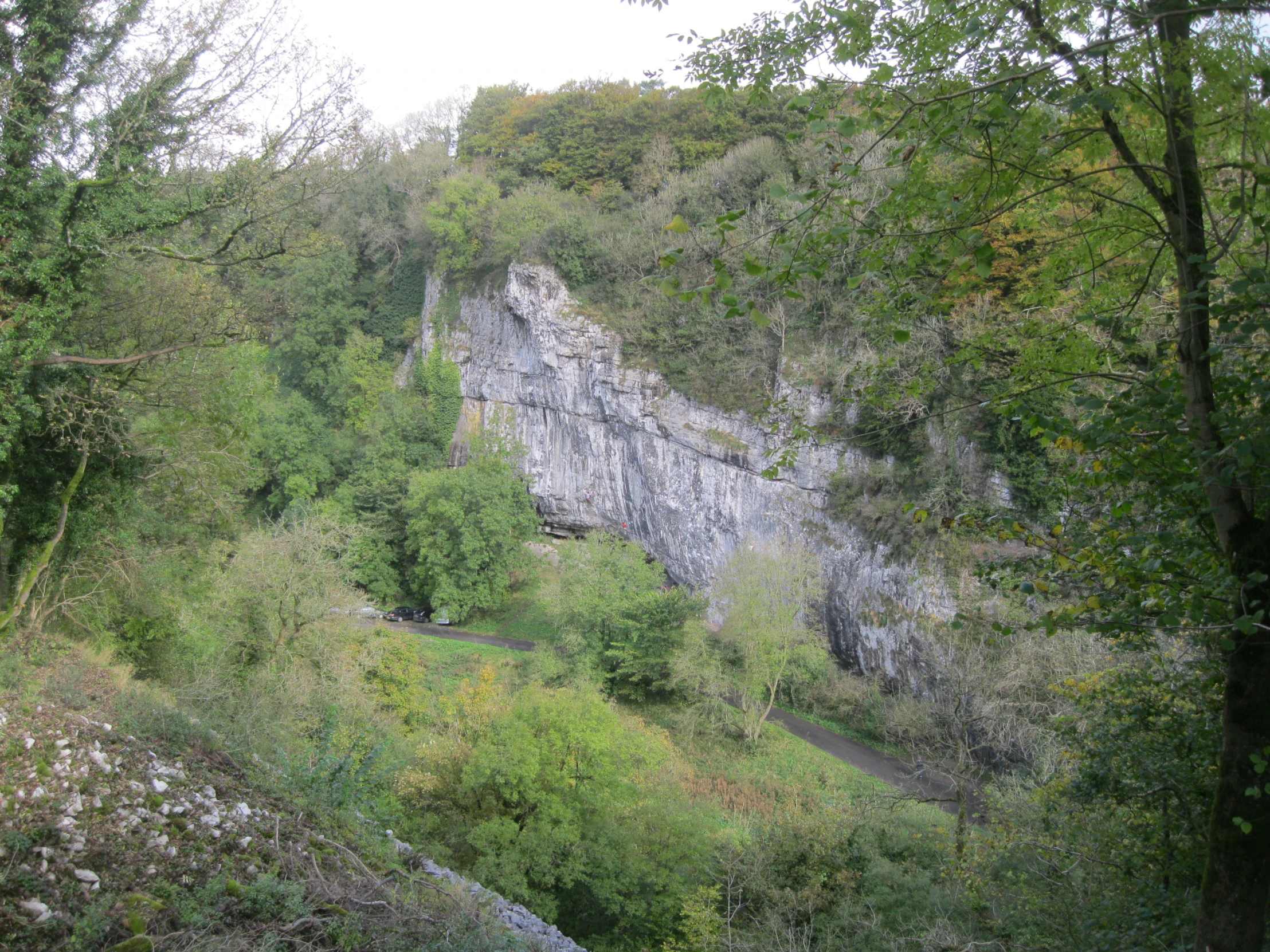 a scenic view of a mountain cliff surrounded by trees