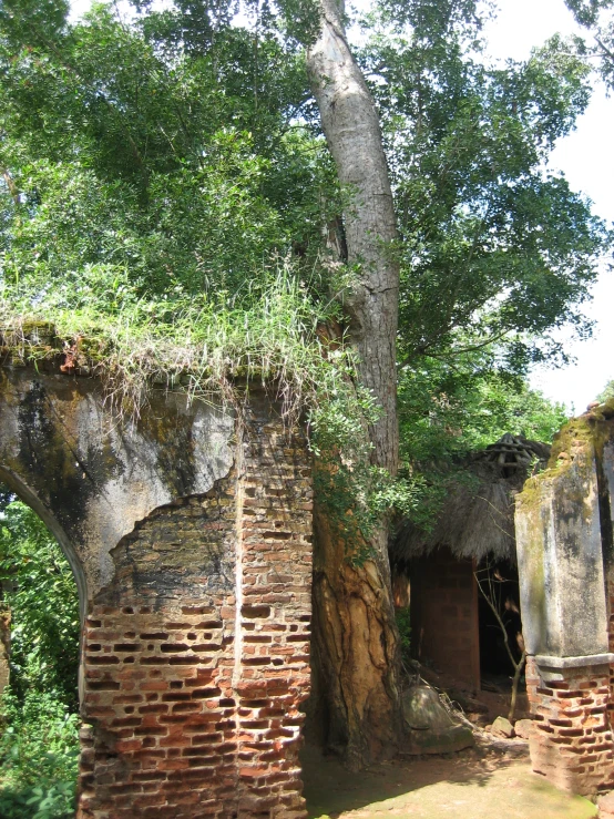 this is a dilapidated and old structure in the woods