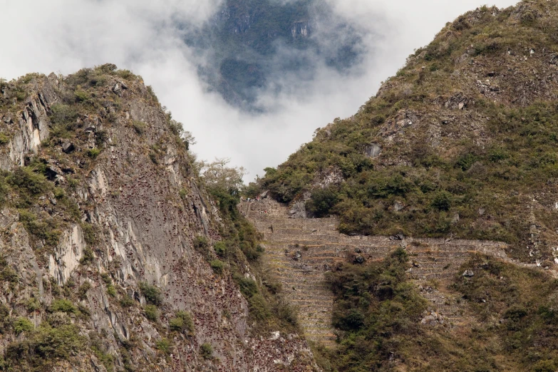 a mountain side with grass and trees near the top