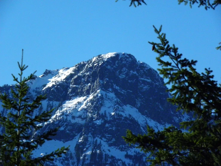 the snowy mountain is towering above pine trees