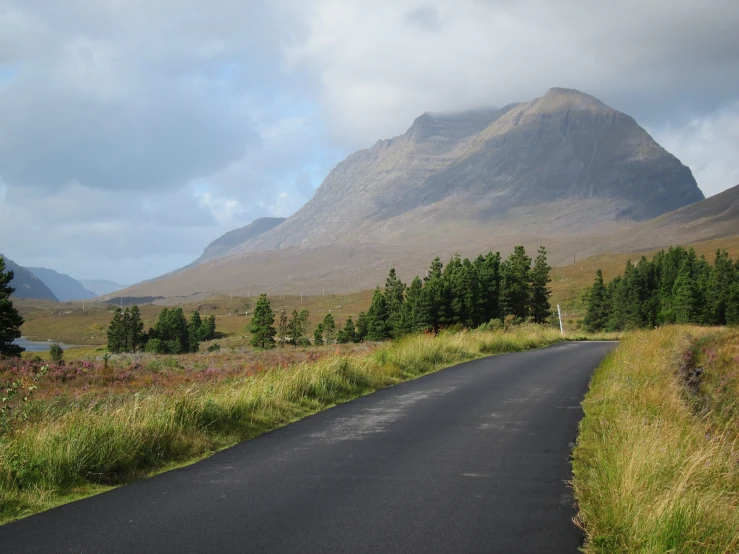 an empty road with no cars and lots of trees along side