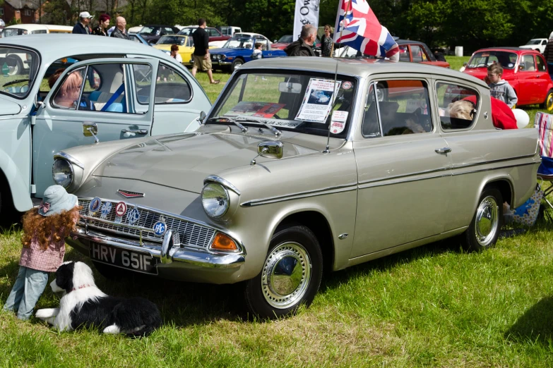 a woman holds a dog at an automobile show