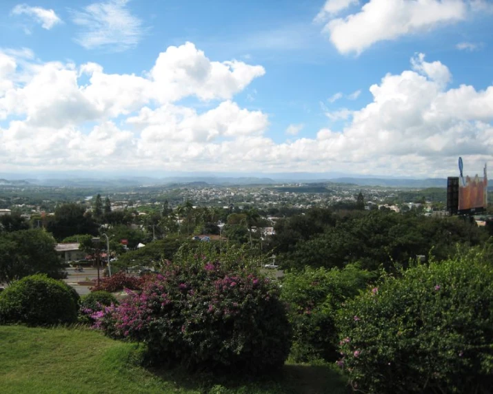 a view over the city from the top of a hill