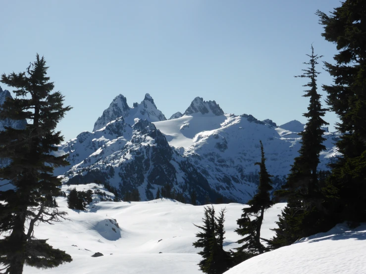 a mountain is shown in the background with pine trees on the snow