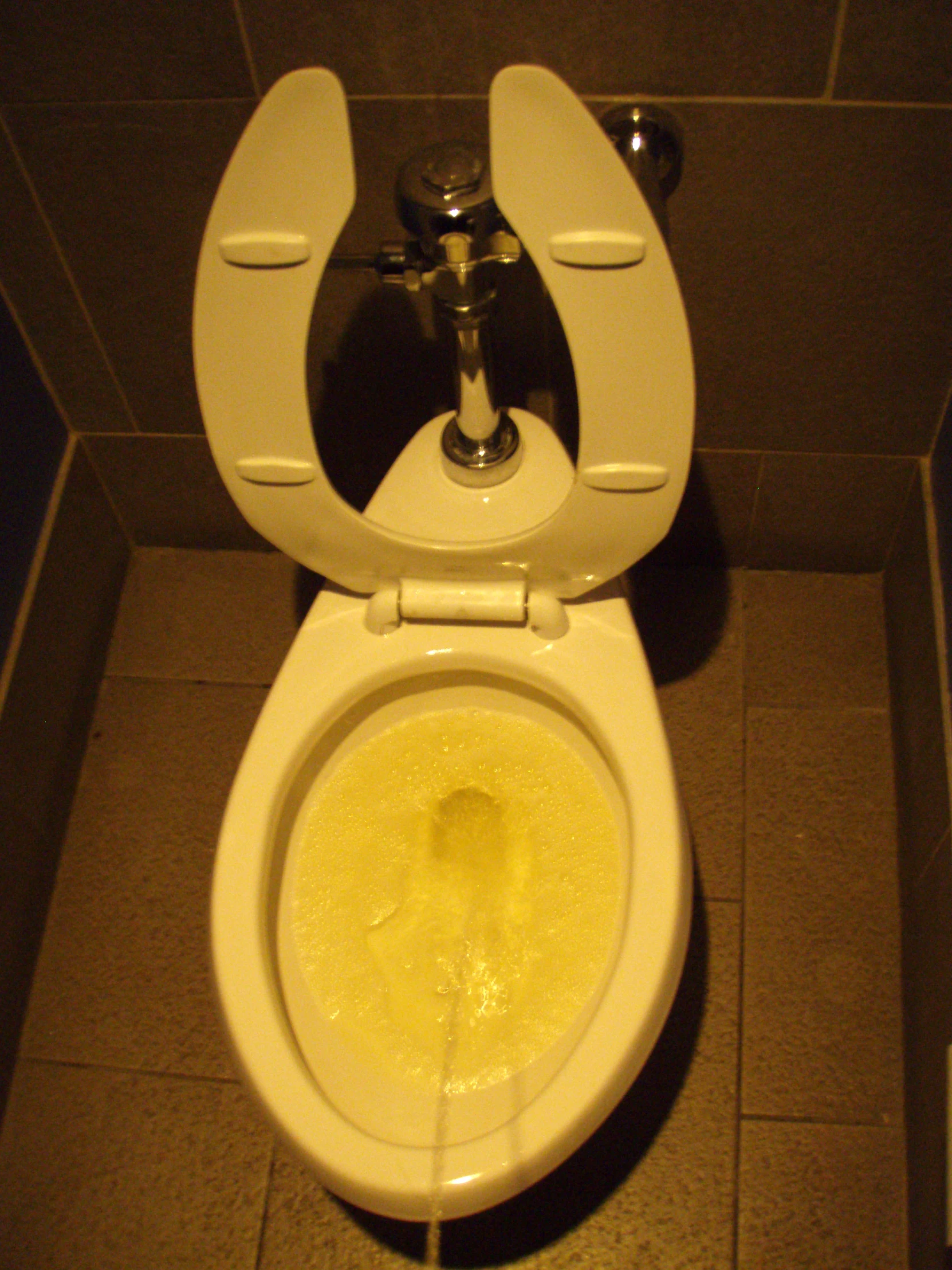 a toilet with a weird seat in a bathroom